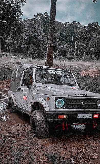 明星之一 明星之一