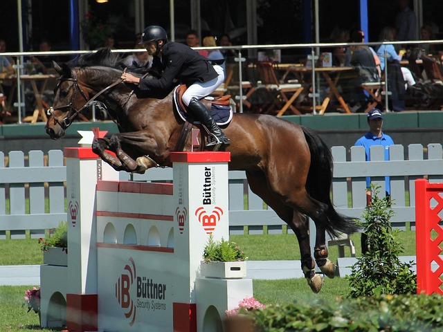 在泰瑞斯 在泰瑞斯