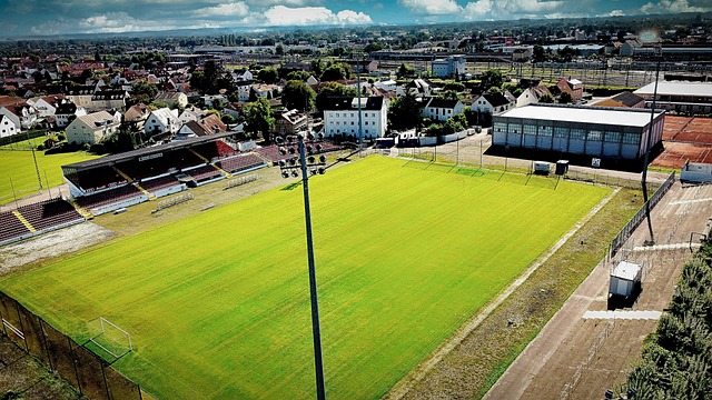 通过建立健 通过建立健