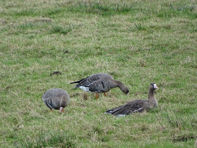 的热烈互动 的热烈互动