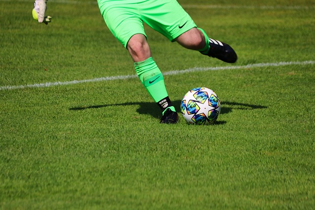 自己的平台 自己的平台