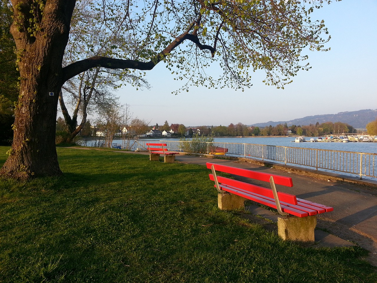 湖人城市版 湖人城市版