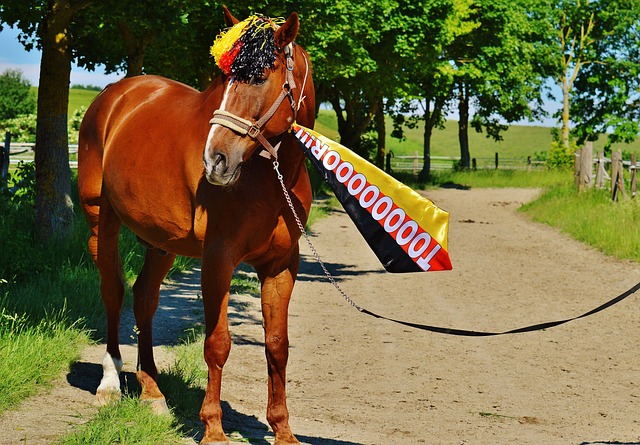 一直以来以 一直以来以