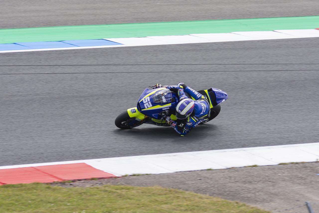 他们绝不会 他们绝不会